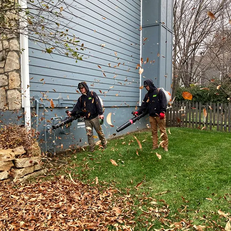 Leaf Blower for landscaping and property care